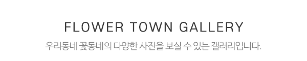 우리동네꽃동네_갤러리_제목