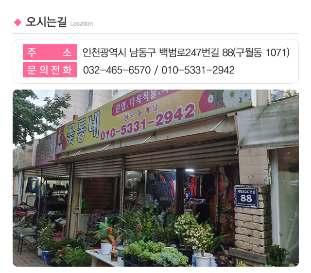 우리동네꽃동네_주소